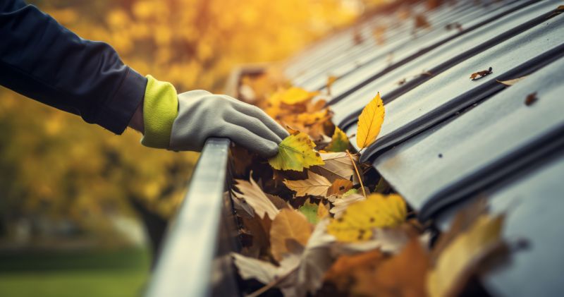 Autumn Debris Removal